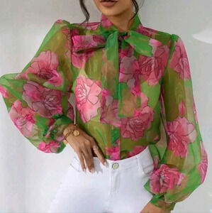 Floral Print Tie Neck Puff Sleeve Organza Blouse Without Bra